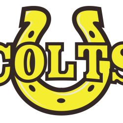Cottonwood Colts Graphic Art