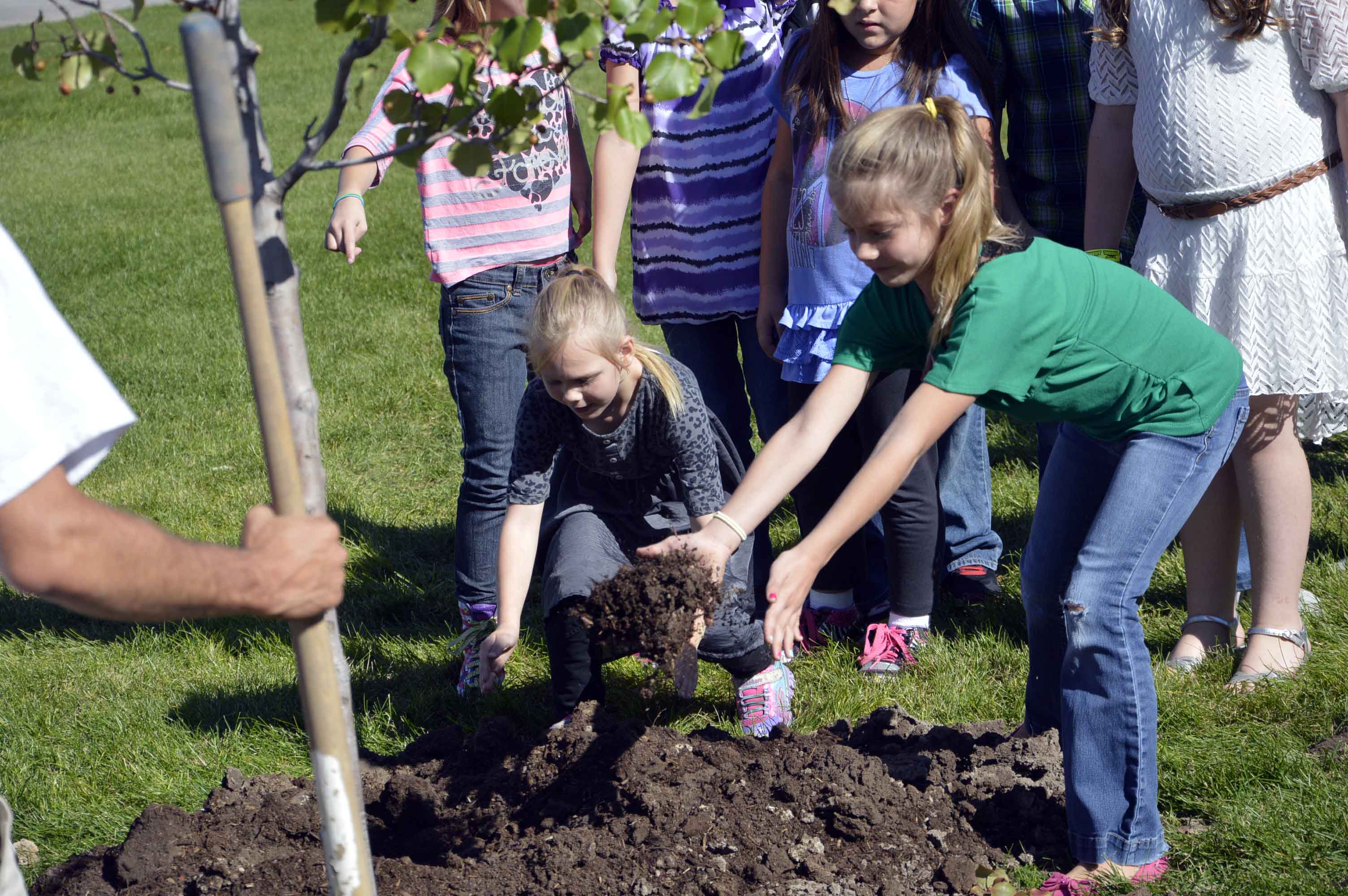 New trees complement grounds at Arcadia Elementary