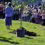 Photo of students standing near sapling at Mill Creek Elementary