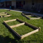 Photo of plant boxes at Moss Elementary