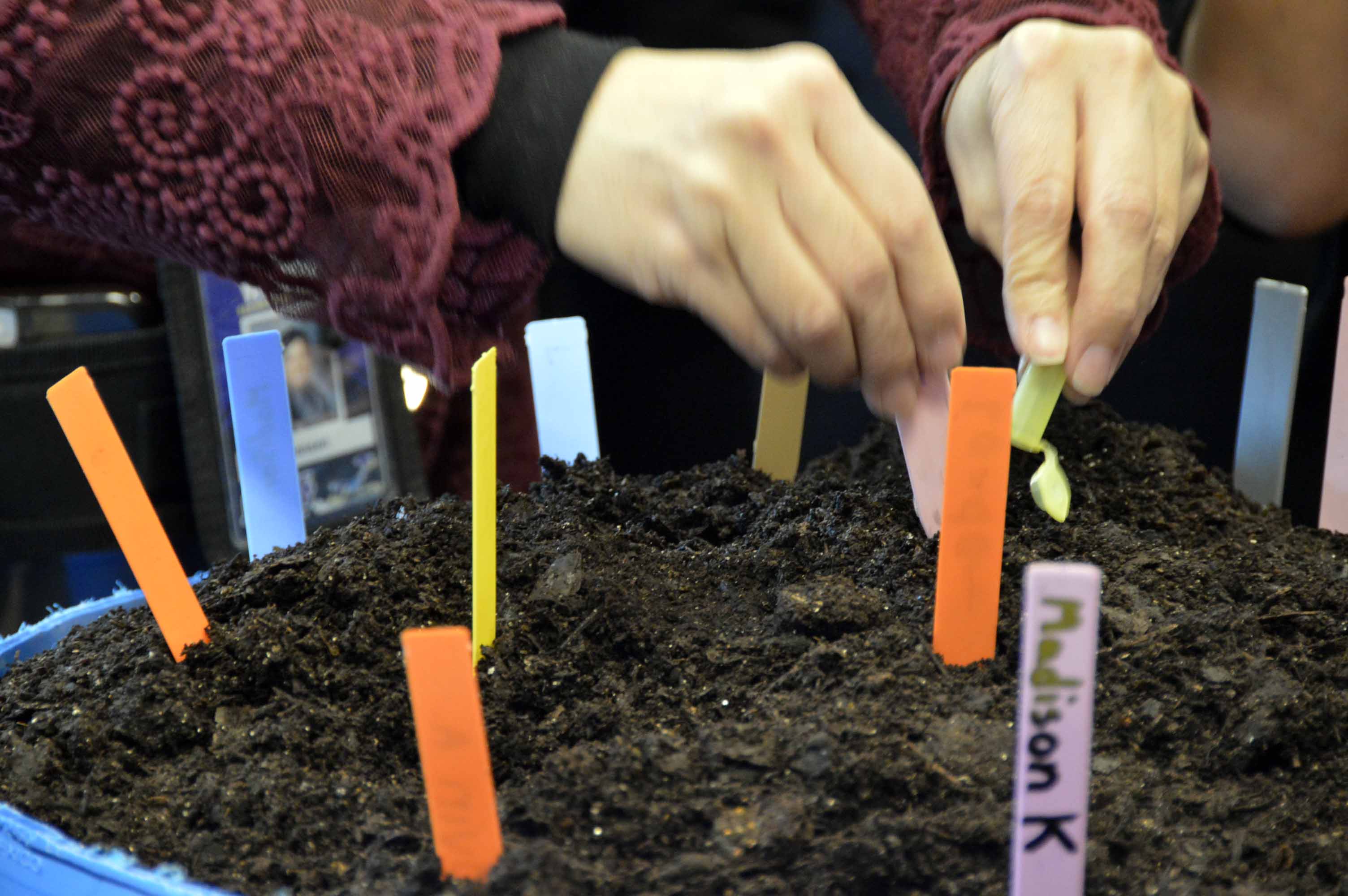Science projects aims to help families learn to grow their own food