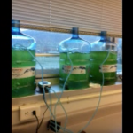 Biofuel containers sitting on desk