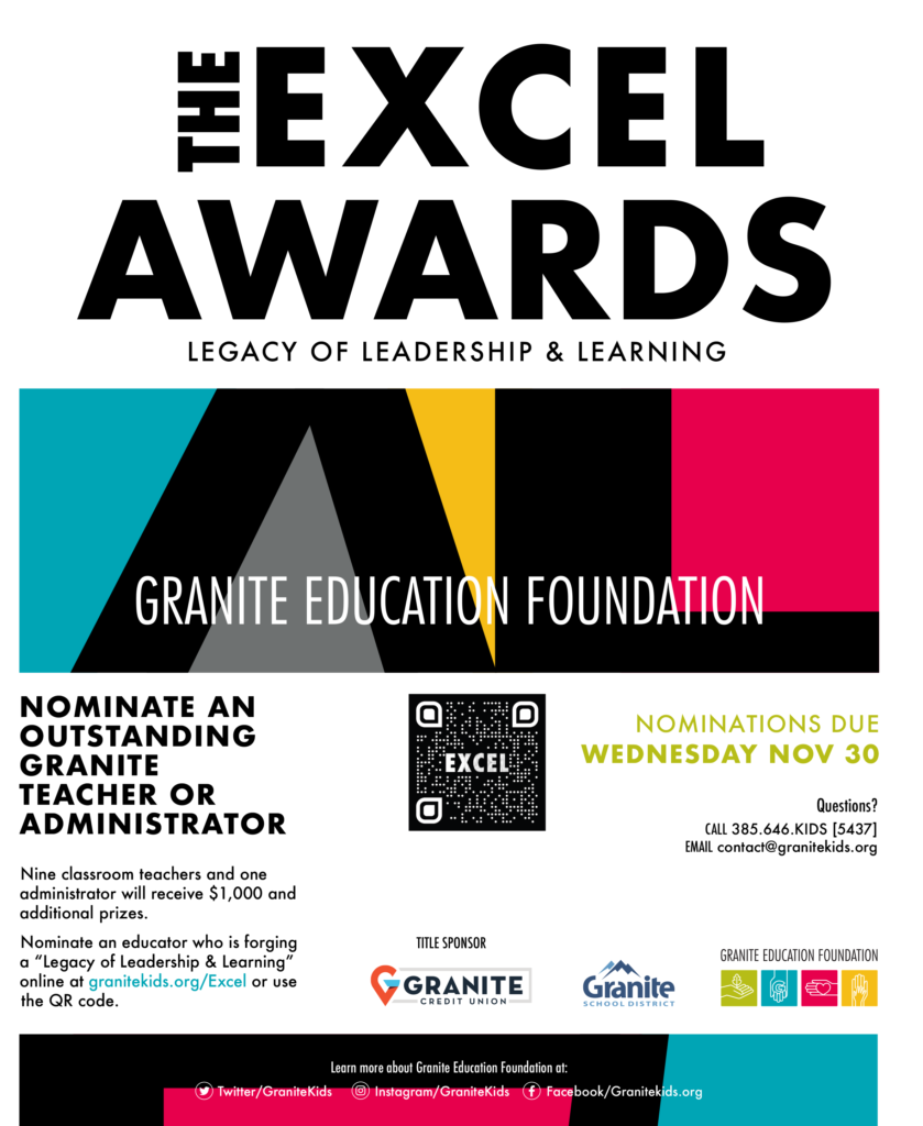 The Excel Awards Pamphlet - details below