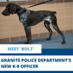 Picture of dog with text that says: Meet 'Bolt' Granite Police Department's New K-9 Officer